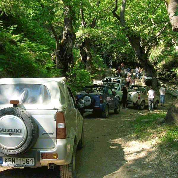 Jeep Safari in Thassos Island